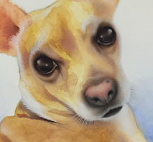 Pet Portrait Painting Commissions