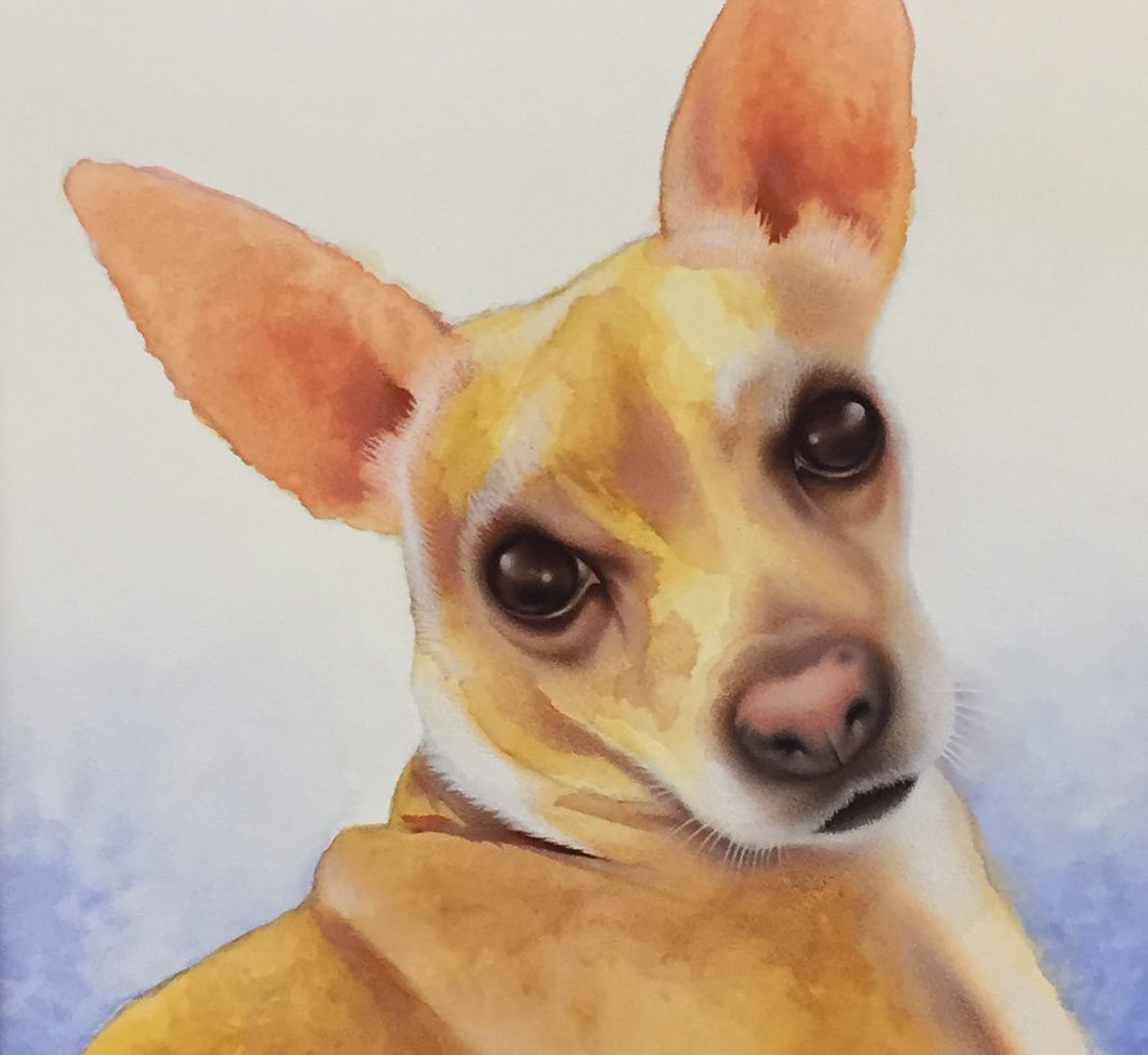 Pet Portrait Painting Commissions